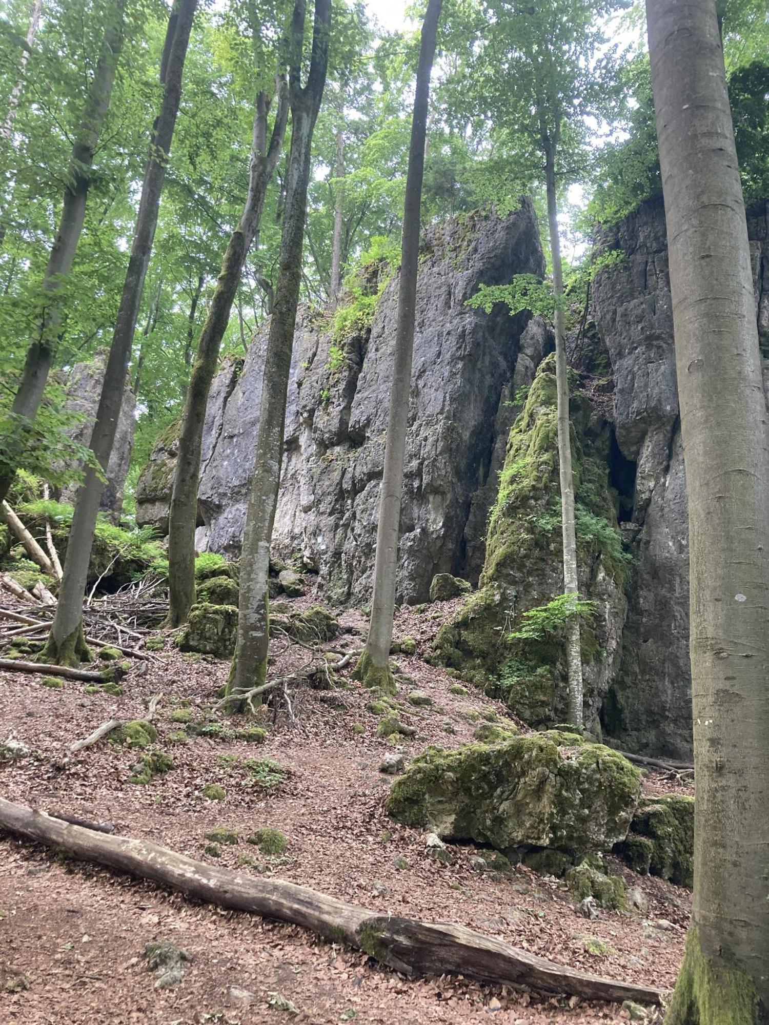 Hartenstein Brunnerhof Urlaub Auf Dem Landアパートメント エクステリア 写真