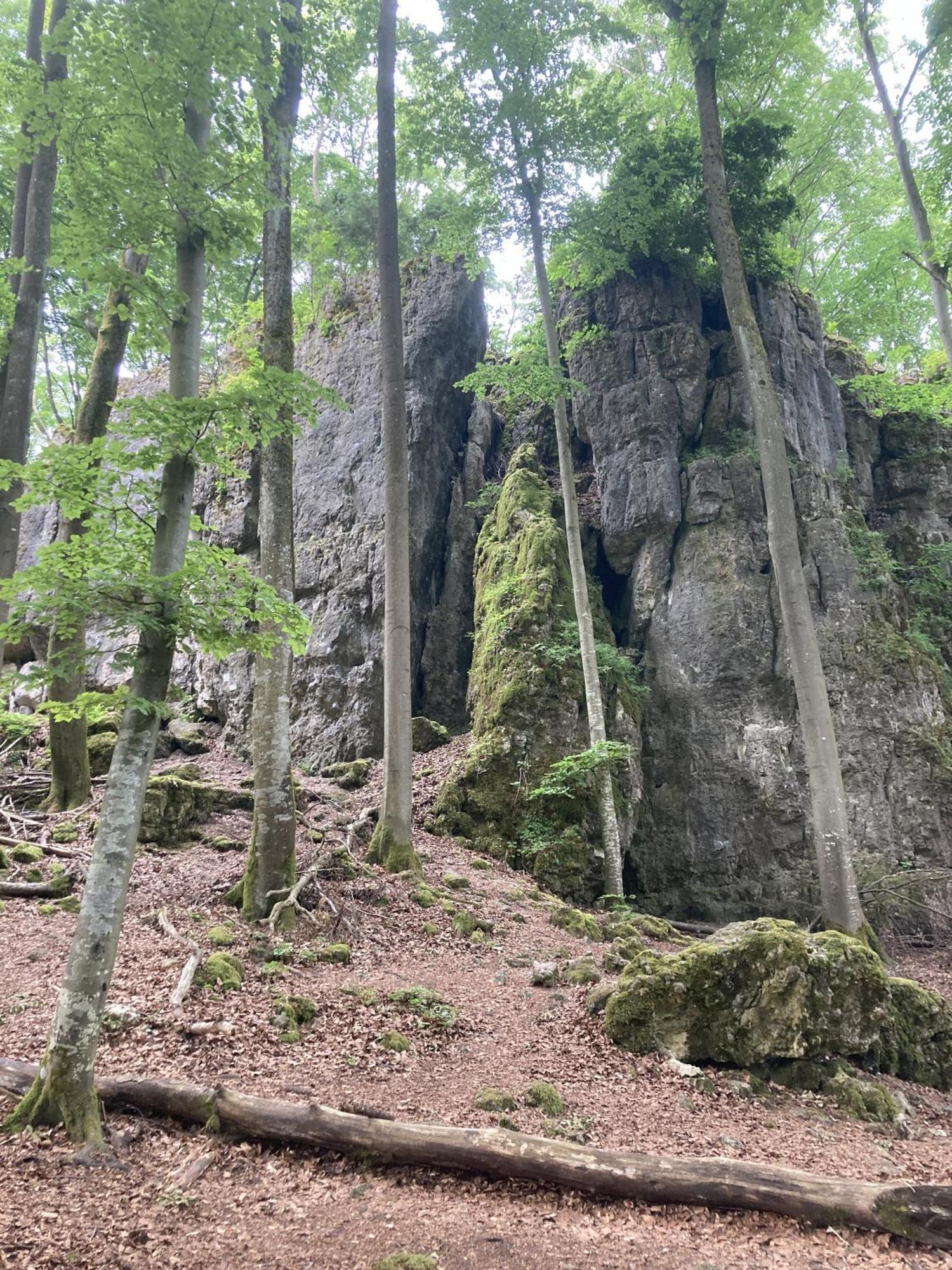 Hartenstein Brunnerhof Urlaub Auf Dem Landアパートメント エクステリア 写真